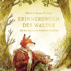 Buchcover von „Erinnerungen der Wälder – Auf der Spur des flüsternden Fuchses“ von Robert Franz Wenzel. Illustration eines sitzenden Fuchses mit Rucksack unter Bäumen in märchenhafter Waldszene.
