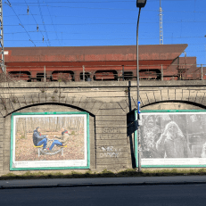 4 Plakate der unvergesslichen Ausstellung Demenz neu sehen 4 Plakate der unvergesslichen Ausstellung Demenz neu sehen