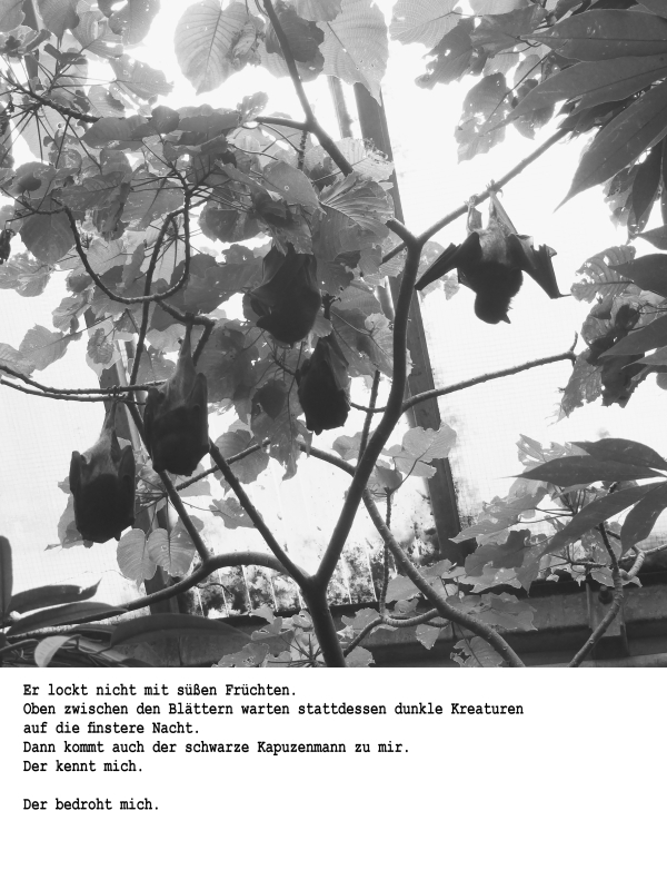 Schwarz-weiß-Fotografie von welken Blüten und großen gezackten Blättern vor bewölktem Himmel