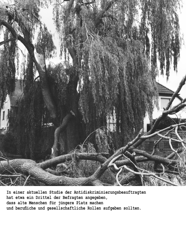 Schwarz-weiß-Fotografie eines von herabhängenden Weidenzweigen umgebenen Hauses, im Vordergrund ein umgestürzter Baumstamm. 