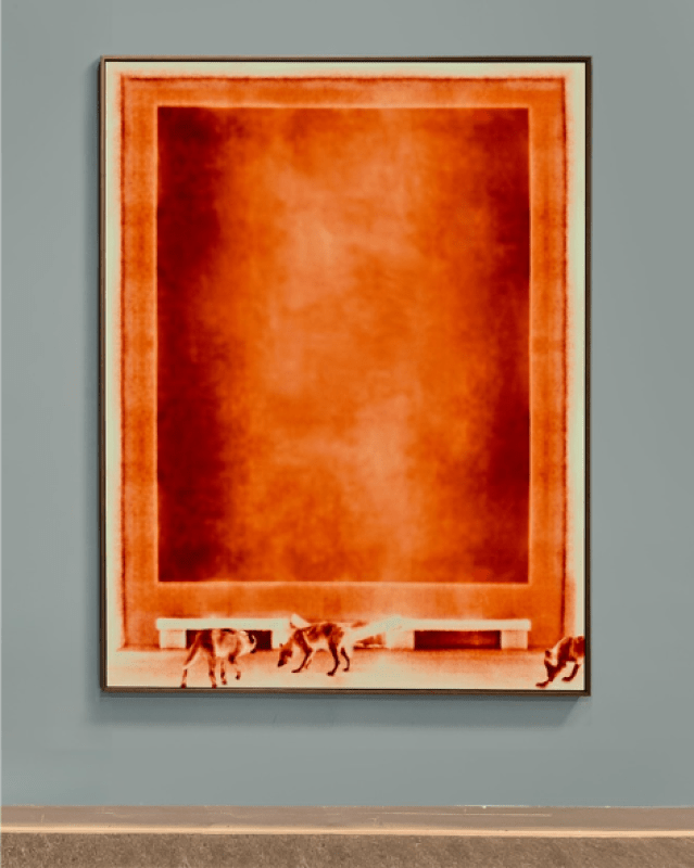 Kunstwerk auf Leinwand Wölfe in rot