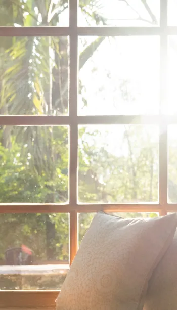 Schöner sonniger Platz am Fenster, mit Blick in den Garten
