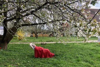 Ältere Frau unter einem blühenden Baum – Symbol für Achtsamkeit, Naturverbundenheit und Lebensqualität mit Demenz